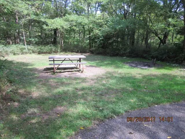 Site E156