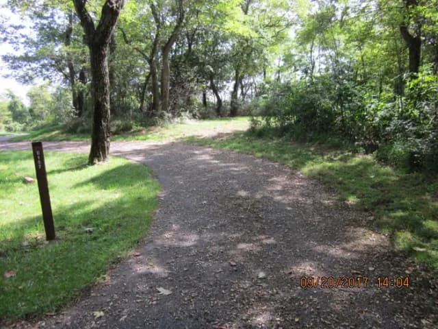 Site E157 Driveway