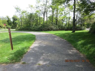 Site E159 Driveway