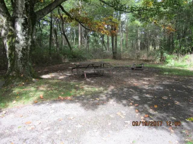 Site F162 with Picnic Table