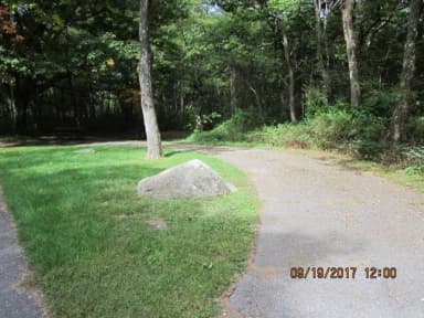 Site F162