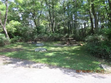 Site F164 with Picnic Table