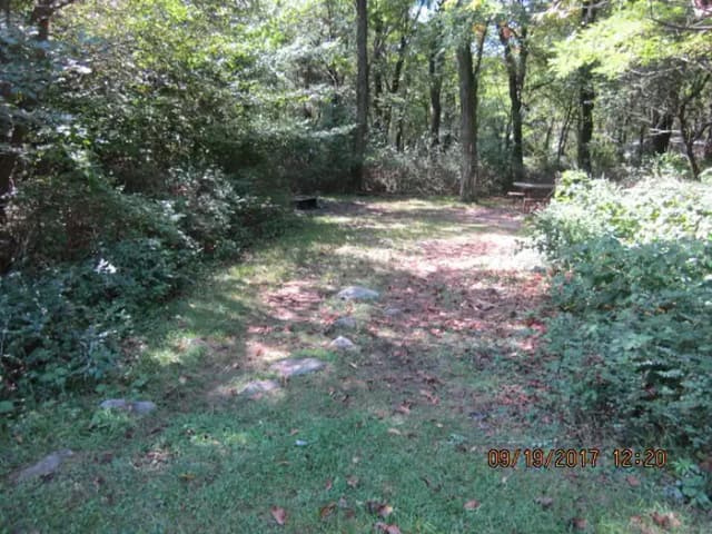 Site F165 with Picnic Table
