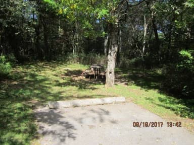 Site F177 with Picnic Table