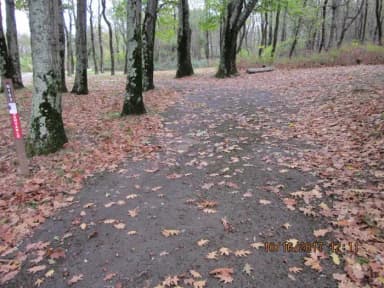Site G182