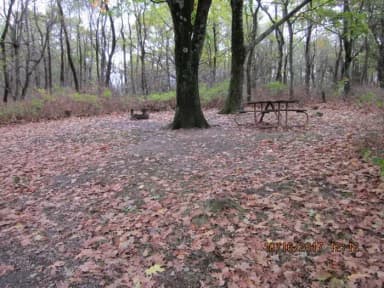 Site G182 with Picnic Table and Grill