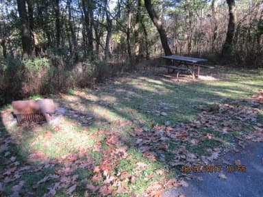 Site G183 with Picnic Table and Grill