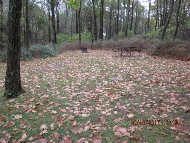 Site G184 with Picnic Table and Grill