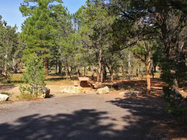 Picnic table, fire pit, and parking spot, Mather Campground