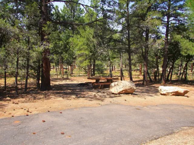 Picnic table, fire pit, and parking spot, Mather Campground