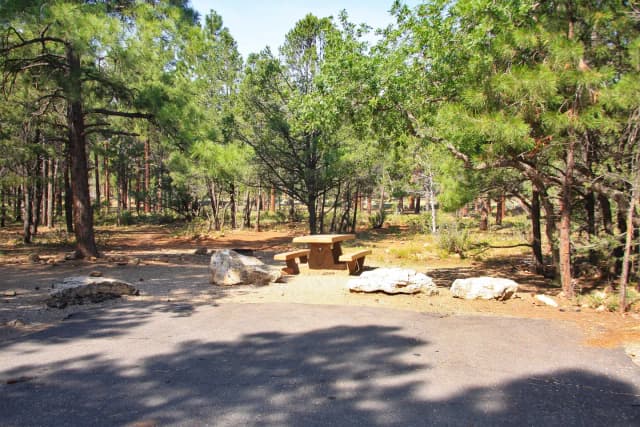 Picnic table, fire pit, and parking spot, Mather Campground