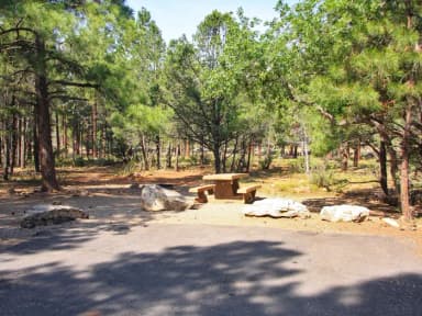 Picnic table, fire pit, and parking spot, Mather Campground