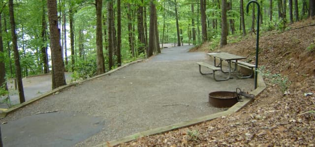 Site 77