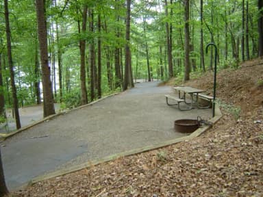 Site 77