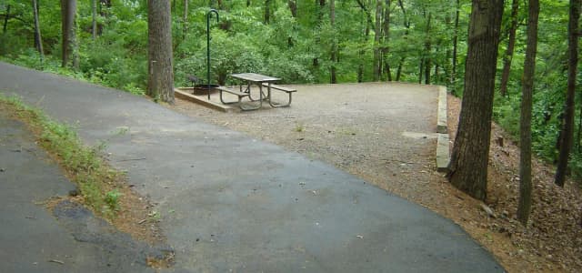 Site 78