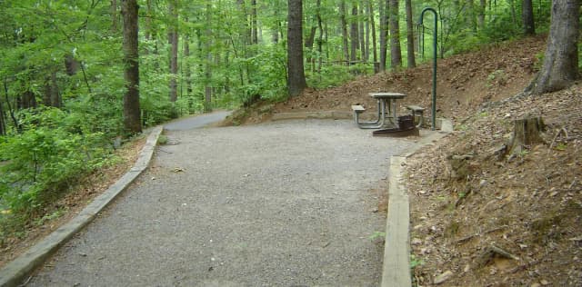 Site 79
