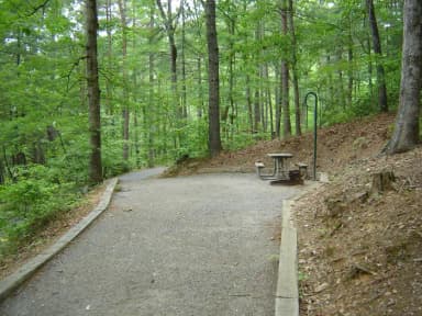 Site 79