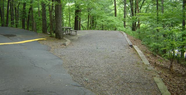 Site 80