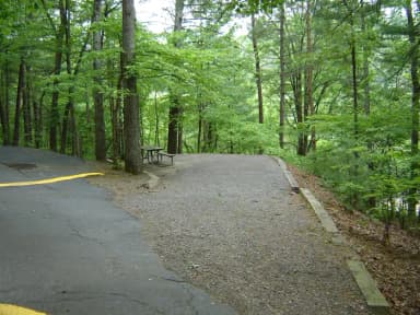 Site 80