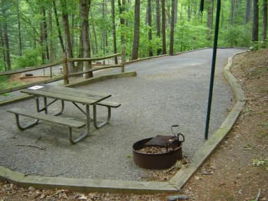 Site 81