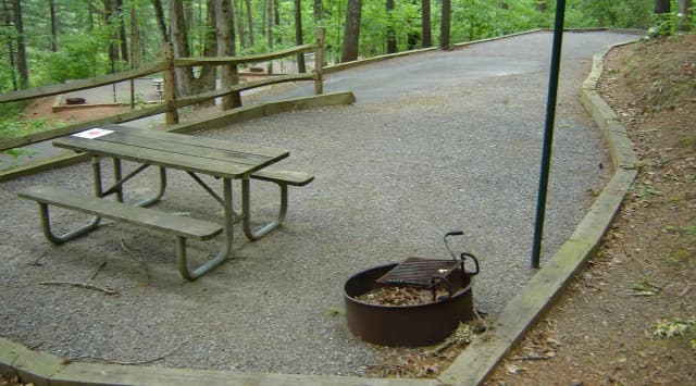 Site 81