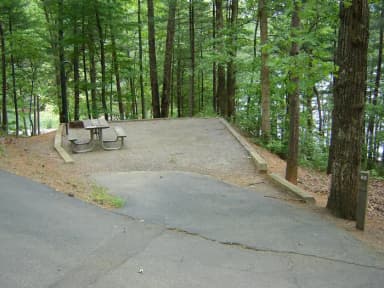 Site 82