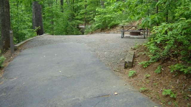 Site 83