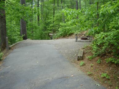 Site 83