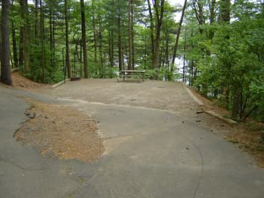 Site 84