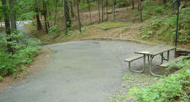 Site 85