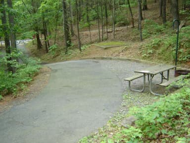 Site 85