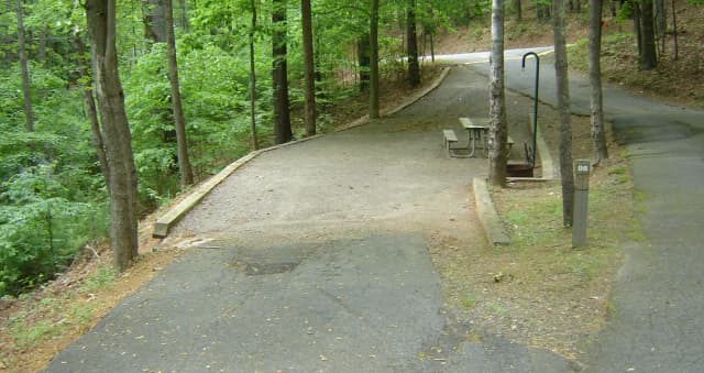 Site 86