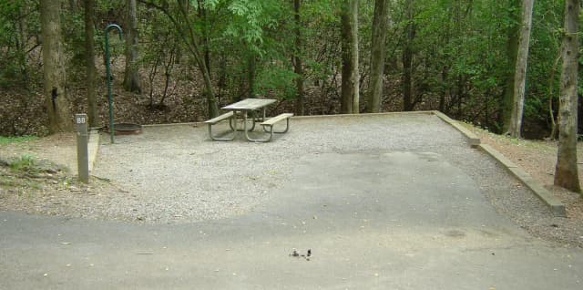 Site #88