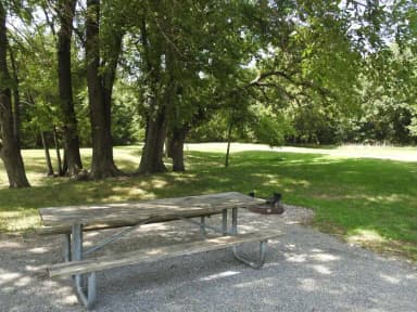 Site 113 in Outlet Campground