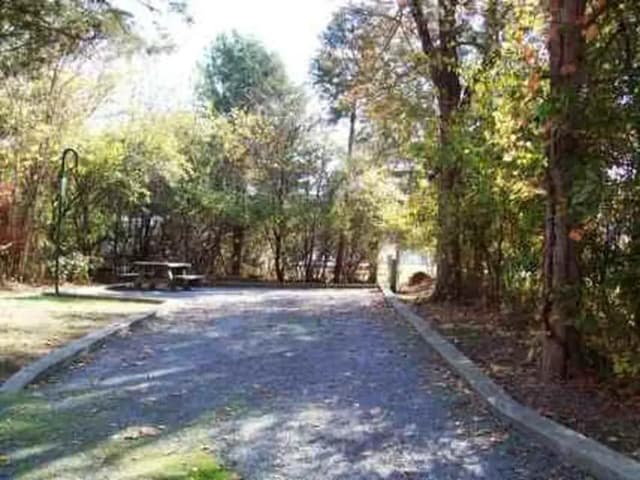 Kendall Campground Site 5