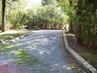 Loop KEND · Site 010 at Kendall Campground