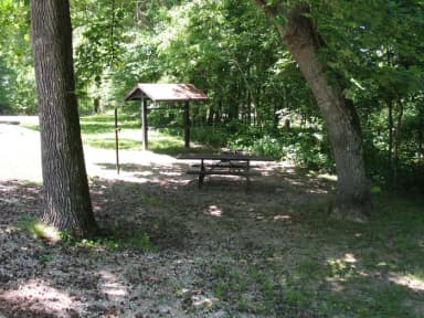 Campsite 29 showing picnic table, lantern post, food shelter and fire ring.