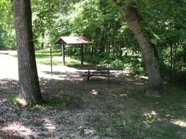 Campsite 29 showing picnic table, lantern post, food shelter and fire ring.