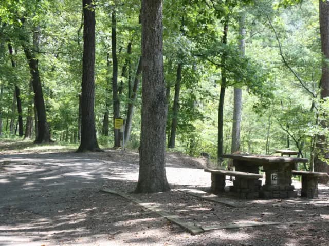 River Road #12