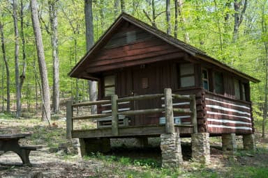 Camp Misty Mount Cabin 29
