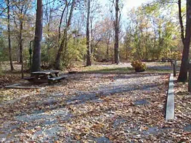 Loop KEND · Site 031 at Kendall Campground