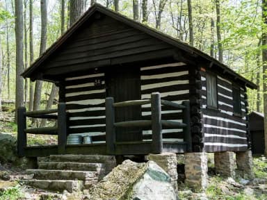 Camp Misty Mount Cabin 34