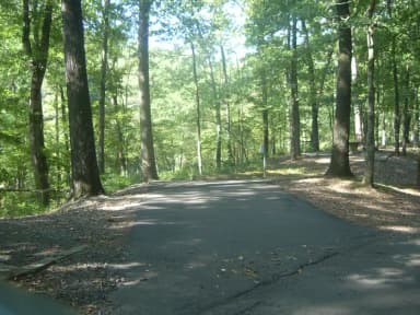 River Road #15