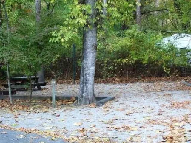 Loop KEND · Site 040 at Kendall Campground
