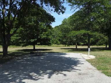 Site 121 in Outlet Campground