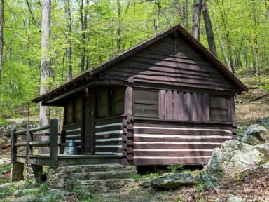 Camp Misty Mount Cabin 37
