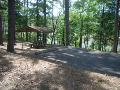 River Road - Project Point Loop - P1