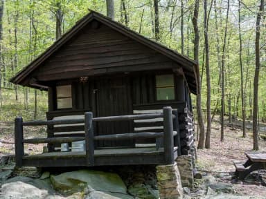 Camp Misty Mount Cabin 39
