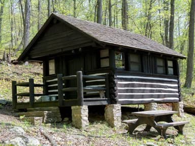 Camp Misty Mount Cabin 41