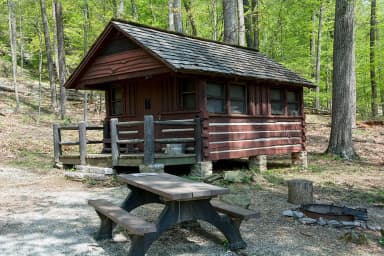 Camp Misty Mount Cabin 51
